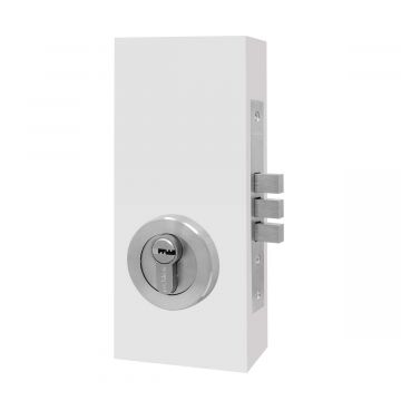 RS539