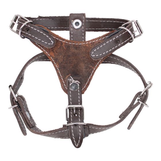 Pechera de piel para Perro talla # 2 café