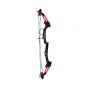 Arco profesional compuesto con 2 flechas MAR-016 Mendoza