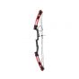 Arco profesional compuesto con 2 flechas MAR-016 Mendoza