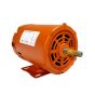 Motor monofásico de 3/4 HP baja Electromex Siemens